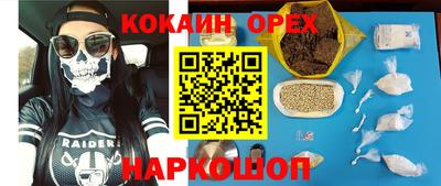 гашик Аргун
