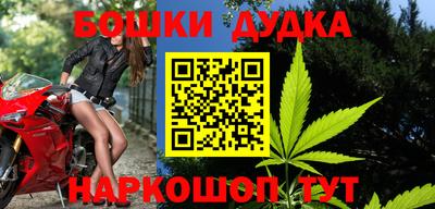 гашик Аргун