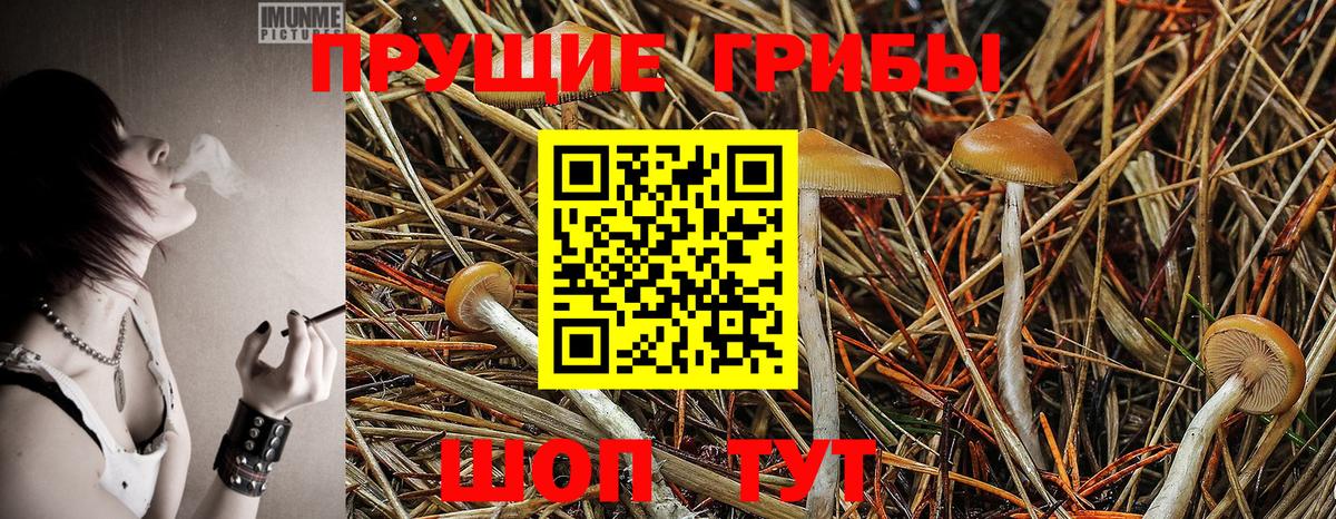 Белорецк  Галлюциногенные грибы GOLDEN TEACHER  как найти   Вход с VPN  Галлюциногенные грибы мицелий 